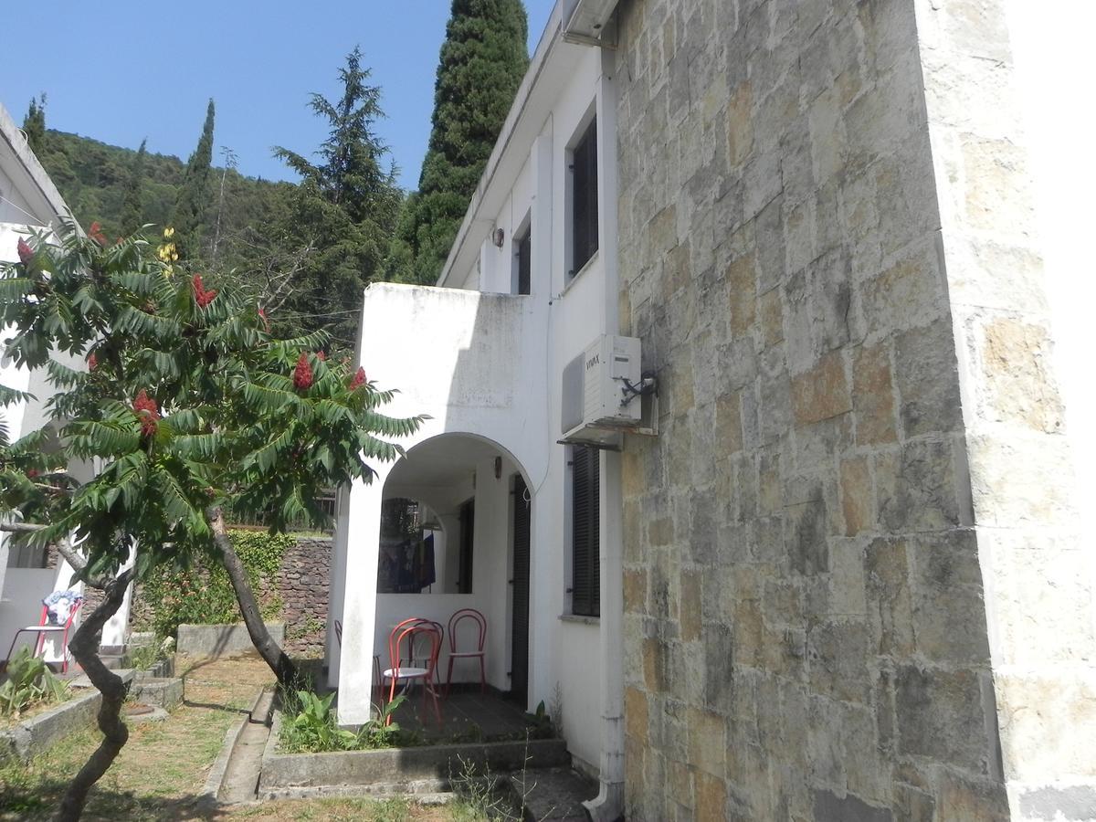Holiday Park Vile Park Budva Kültér fotó